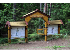 Экологическая тропа «Лесные тайны»