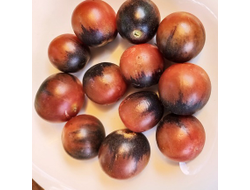 Томат Шоколадный подарок