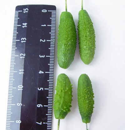 Набор молдов, вайнеров и каттеров "Огурчики"