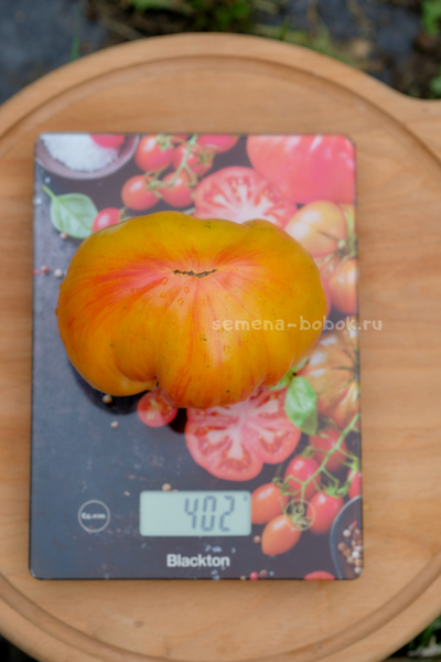 Томат Огненный Поцелуй Биколор с носиком, 10 шт