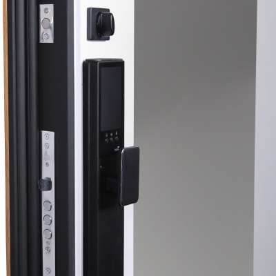 Стальная дверь   Макс 3D с зеркалом (биометрический замок Y12). Заказная модель.