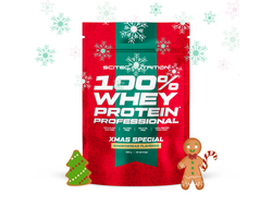 Whey Protein Prof. 500g - Рождественский вкус