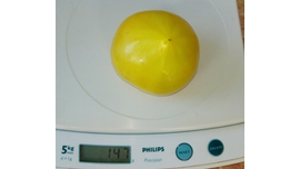 Зеленая буденовка