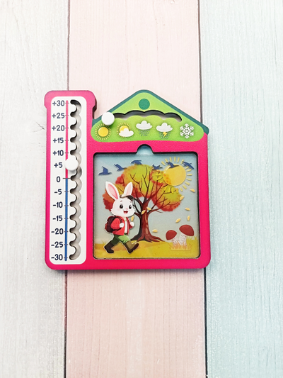 Рамка-вкладыш "Что сегодня за окном?"