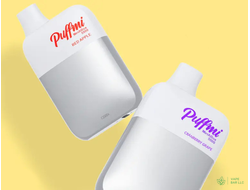 Одноразовая электронная сигарета PUFFMI DX5000, 2%, 10 мл, 650 мАч, 5000 затяжек (подзаряжаемая)