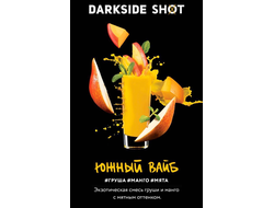 Табак Dark Side Южный Вайб Shot 30 гр