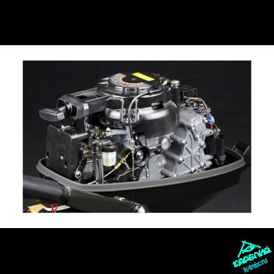 Лодочный мотор Suzuki DT15AS (AL)
