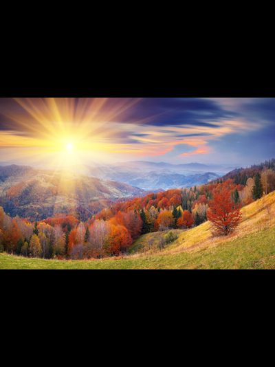 Купить греющую картину с фото осень