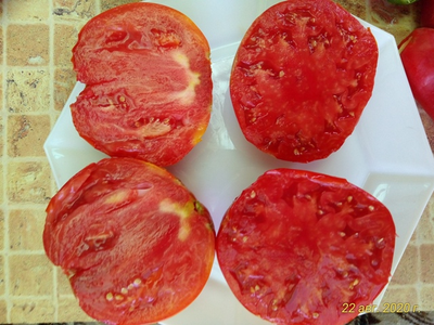 Томат  Козий мешок (Goat Bag, Козья сумка) США