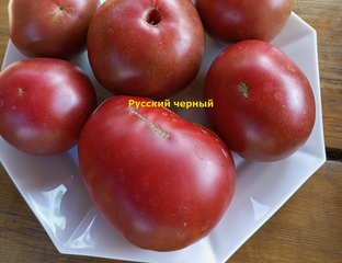 Томат Русский черный (Russian black) - Томатный мир