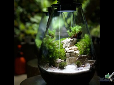 Биобутылка Biolark LED SD175 (175мм х 230мм)