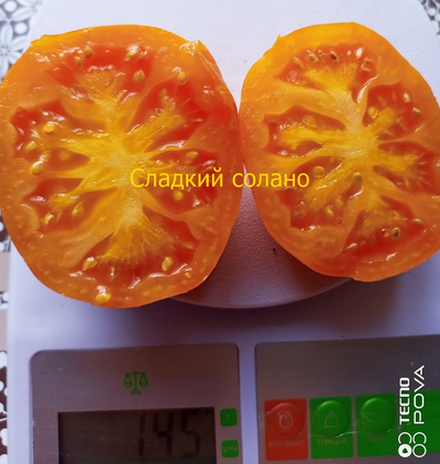 Томат Сладкий Солано (AAA Sweet Solano)