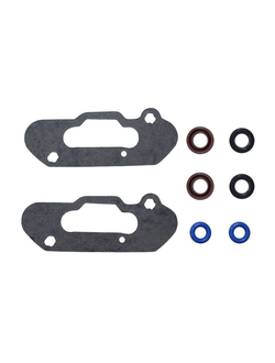 Комплект прокладок RAVE клапана SPI 09-710303E для BRP, Ski Doo, Lynx 600 ETEC (2010-2018)(420430032, 420950730, 420950732, 420431380, 420931765)
