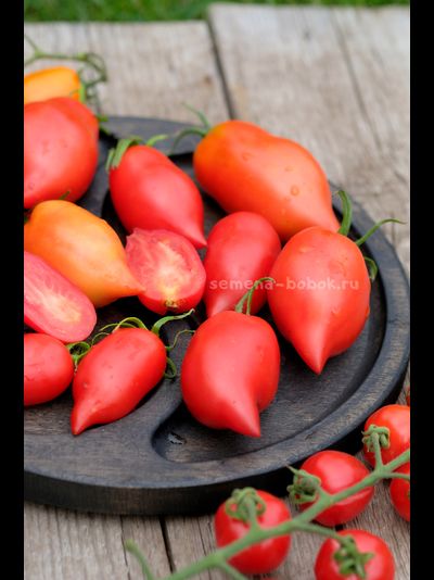 Томат Черевички, 10 шт