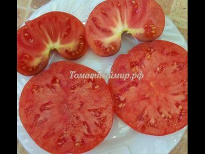 Томат Сибирский тигр «Когти»  (Siberian Tiger «Claws»)