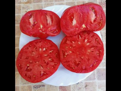 Томат Розовый гигант м-ра Андервуда (Mr. Underwood's Pink German Giant)