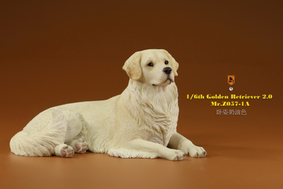 Белый ретривер (лежащий) - Коллекционная ФИГУРКА 1/6 scale Animal Model Golden Retriever 2.0 (MRZ057-1A) - Mr.Z
