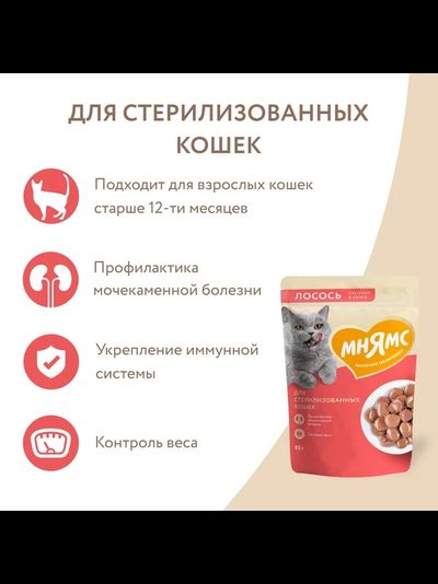 Мнямс влажный корм (пауч) для стерилизованных кошек, кусочки в соусе с лососем 85 г
