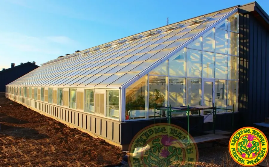 Круглогодичный тепличный комплекс размером 36х10 метров для выращивания практически любых растений в любое время года