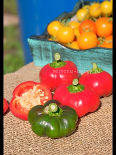 Перец сладкий Гогошар Советский, 10 шт