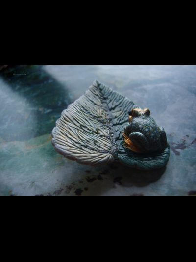 Брошь с лягушкой "Принцесса с окраин Ранней Осени"