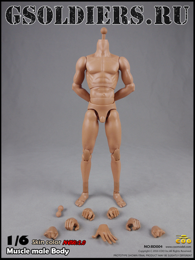 Тело мускулистое с шеей 1/6 - NEW:2.0 Body NO: BD003 - COOMODEL