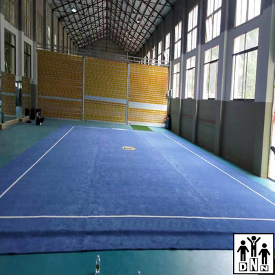 Ковер соревновательный для ушу-таолу