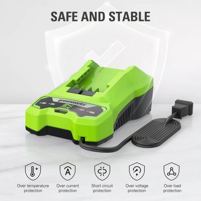 Зарядное устройство Greenworks G24C4 4А