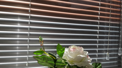 Жалюзи горизонтальные HOLIS, Перфорация