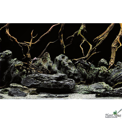 Фон-пленка двухсторонняя Sea Scape/Natural Mystic 60 см (цена за метр)