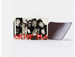 Магнит виниловый Сектор Газа, Юрий Хой №3