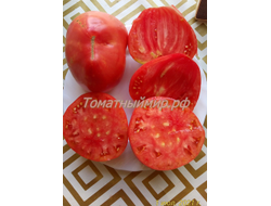 Томат Король Кинг