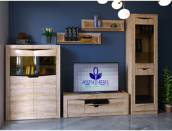 Композиция Гостиной ВЕРСАЛЬ-5 Дуб баррик