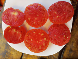 Томат Лидия Боровая