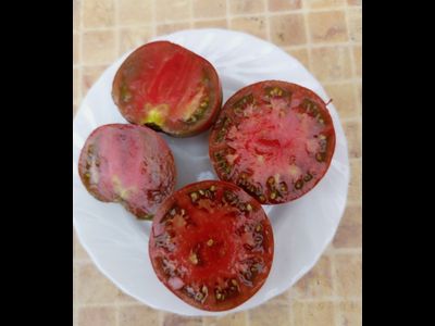 Томат Занавес Маргарет (Margaret Curtain, США)