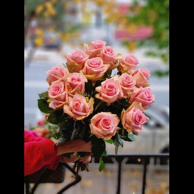 Роза Эквадор 50 см 15 шт