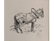 "Лошадь в упряжке" картон тушь 1960-е годы