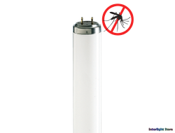 Sylvania F20w/BL368 Shater Resistant T12 G13