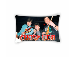 Подушка Сектор Газа, Юрий Хой №22