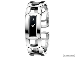 Часы-браслет женские Calvin Klein K3Y2M111 Кельвин Кляйн. Узкий циферблат, жесткий серебряный брасле