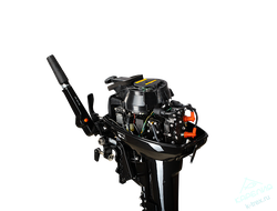 Лодочный мотор Gladiator G9.9FHS (15)