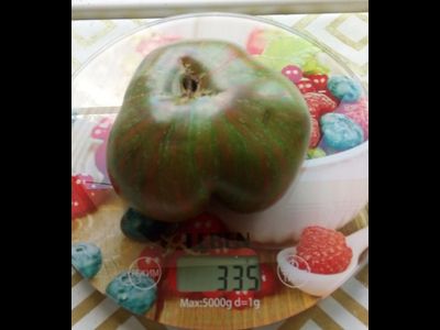 Томат Кровавая Луна (Blood Moon, США)