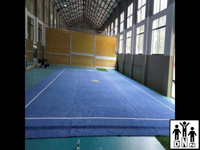 Ковер соревновательный для ушу-таолу 10х16 м DNN