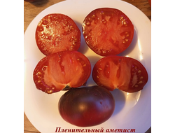 Томат Пленительный аметист
