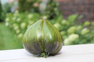 Изумрудная парча