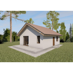 Одноэтажный дом с двумя спальнями 56м² (S56)