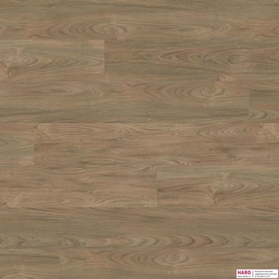 Декор ламината Haro Вяз Варио 544814 фронт