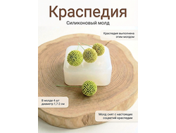 Силиконовый молд "Краспедия "