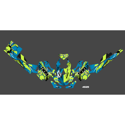 Наклейки на снегоход  Lynx Rave 2017 2018 #4825