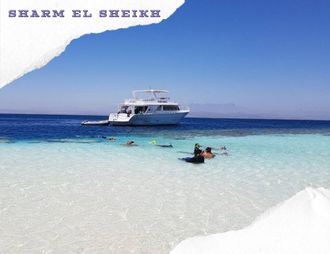 SEA TRIP VIP RAS MOHAMMED & WHITE ISLAND (WITH THE POSSIBILITY OF DIVING FOR BEGINNERS)